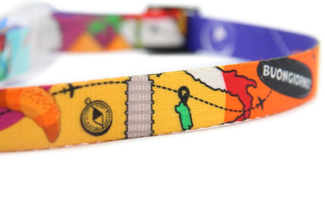 Collar With A LED Plastic Buckle – Travel